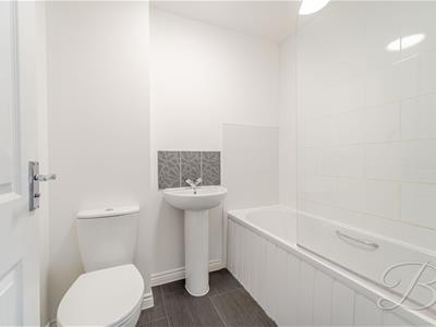 Picture 26